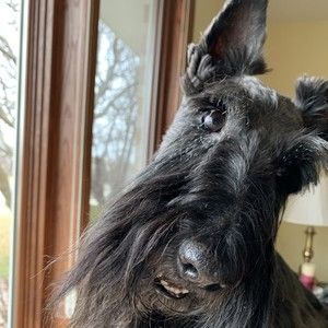 Meet your Posher, Vickie